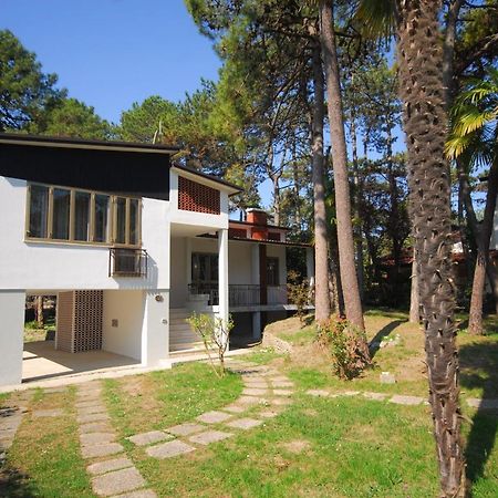 Villa Argia 利尼亚诺萨比亚多罗 外观 照片